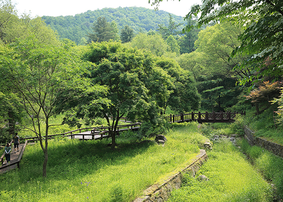 성주산 자연휴양림